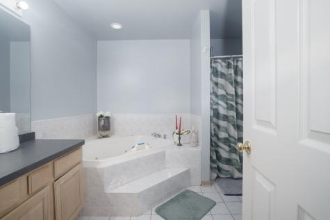 22021 Neptune Lane Richton Park IL 60471