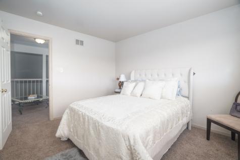22021 Neptune Lane Richton Park IL 60471
