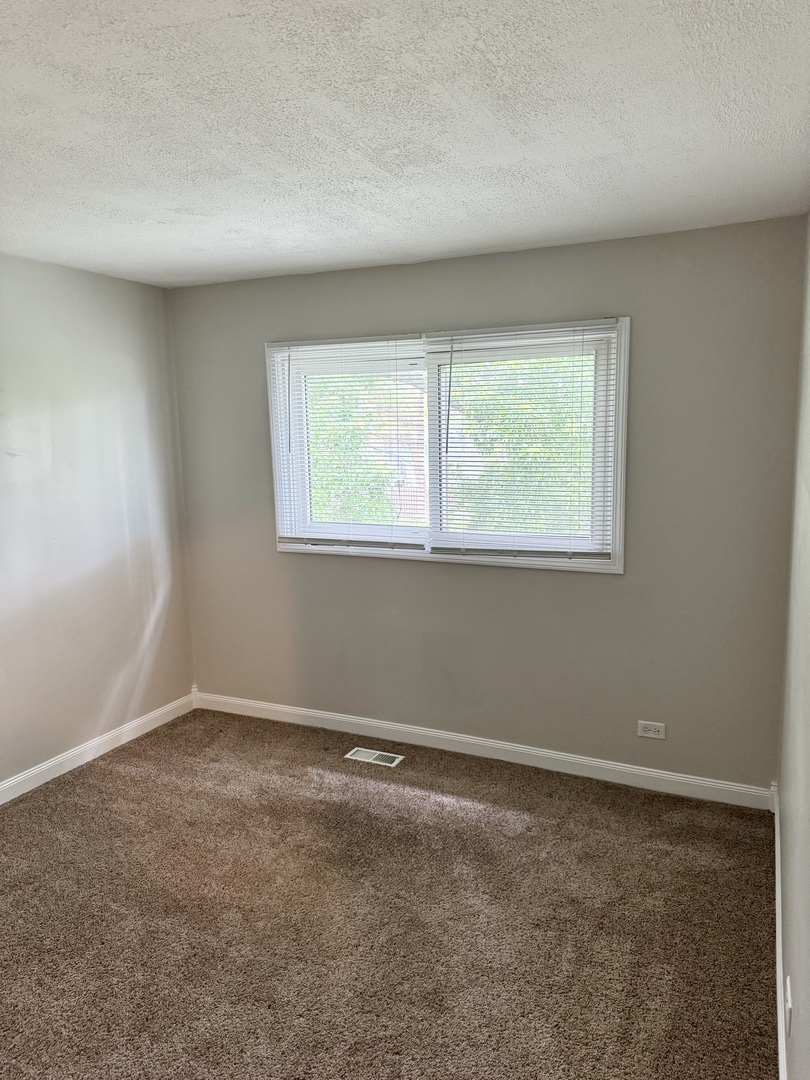 716 Shining Water Drive Carol Stream IL 60188