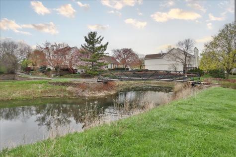 604 West Meadow Avenue Lombard IL 60148