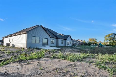 1165 S. Farmstone Drive Diamond IL 60416
