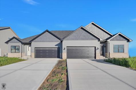 1165 S. Farmstone Drive Diamond IL 60416