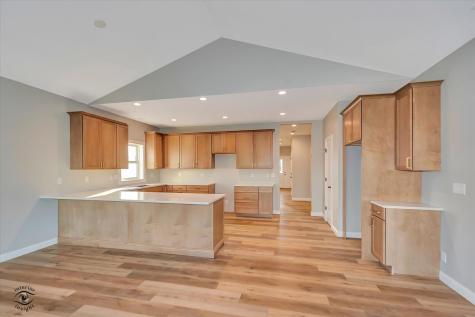 1165 S. Farmstone Drive Diamond IL 60416