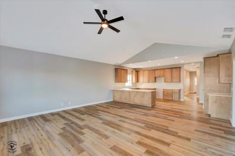 1165 S. Farmstone Drive Diamond IL 60416