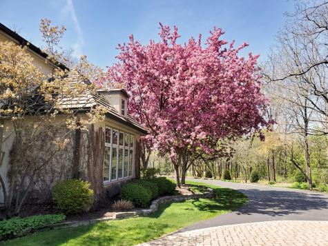 6N161 Surrey Road Wayne IL 60184