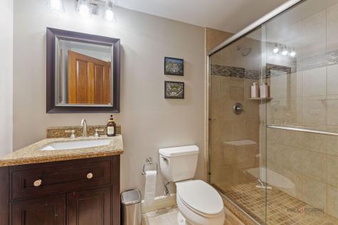 37W209 Deer Pond Court St. Charles IL 60175