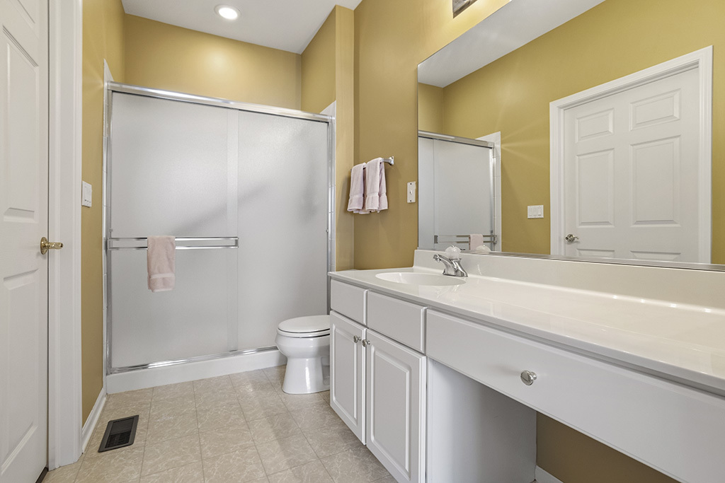 13517 South Buckthorn Lane Plainfield IL 60544