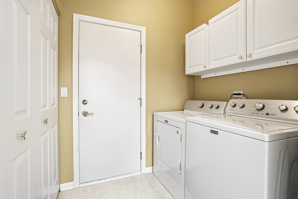 13517 South Buckthorn Lane Plainfield IL 60544