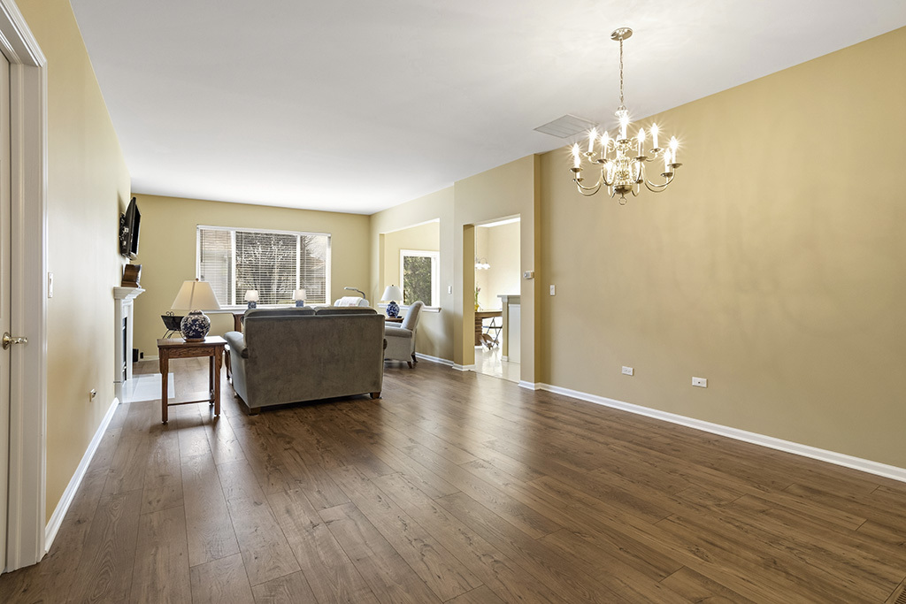 13517 South Buckthorn Lane Plainfield IL 60544