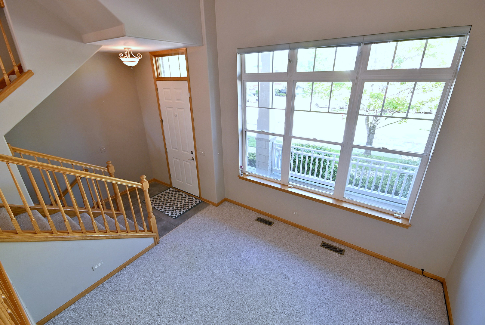 6069 River Bend Drive Lisle IL 60532
