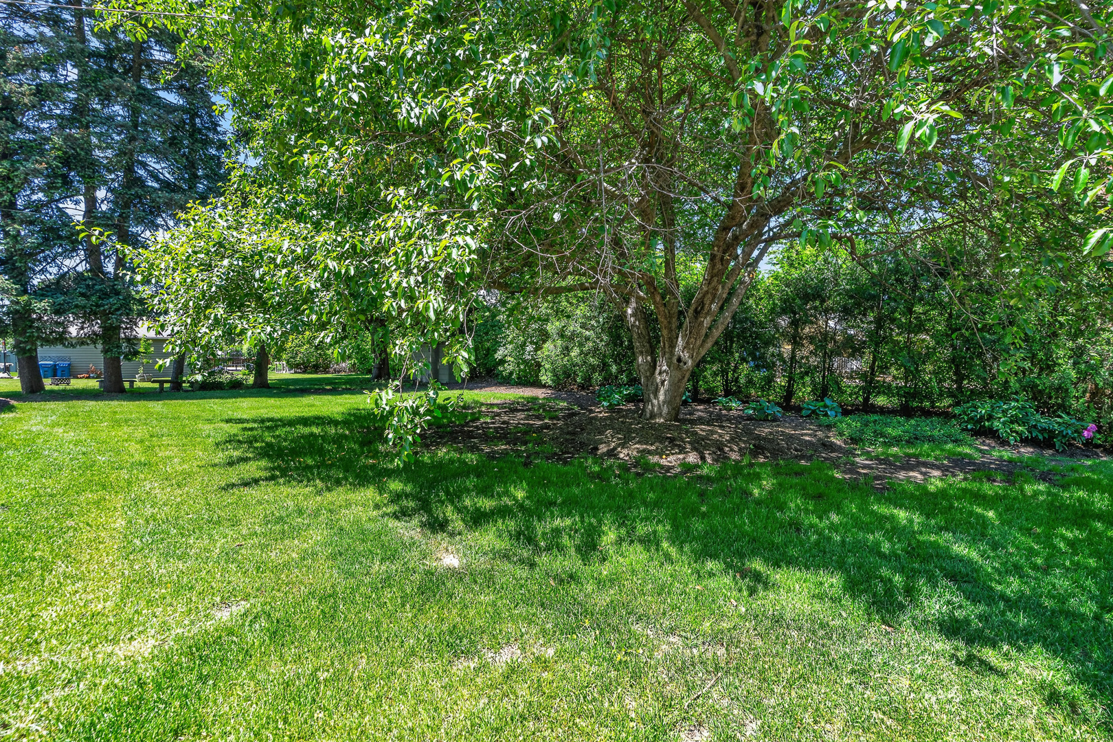 69 Central Avenue Aurora IL 60506
