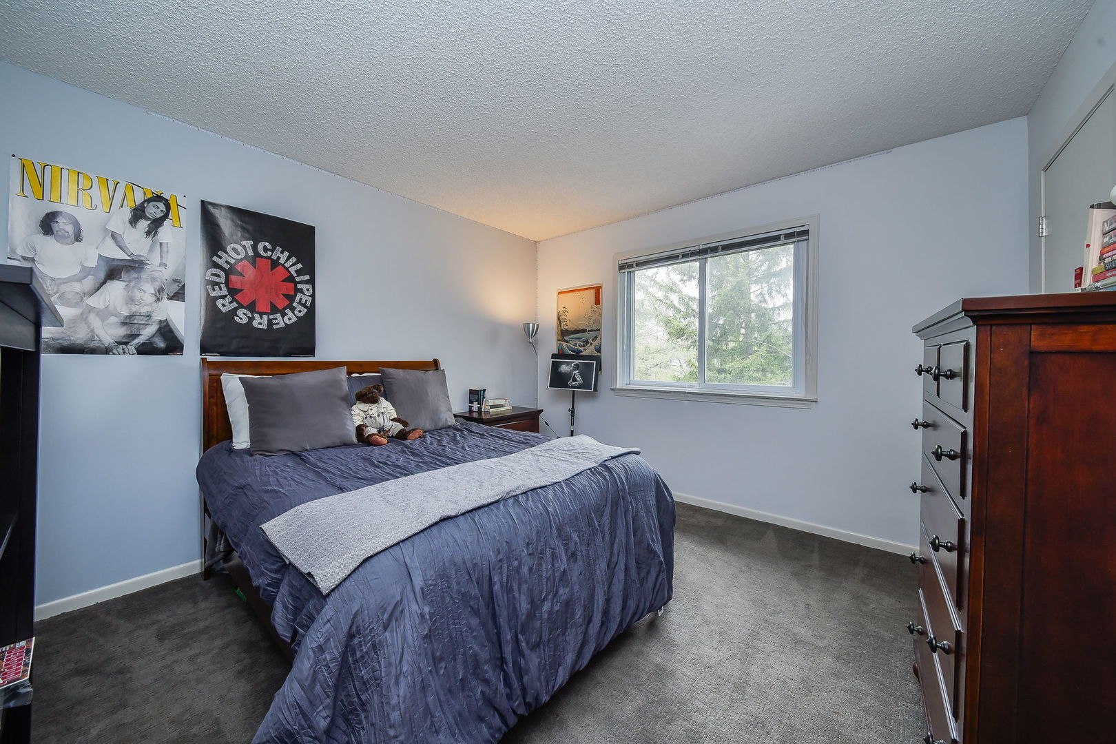 1925 Coach Drive Naperville IL 60565