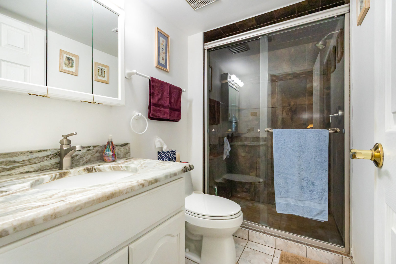 19638 Glennell Avenue Mokena IL 60448