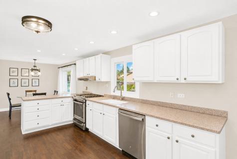 319 South Braintree Drive Schaumburg IL 60193