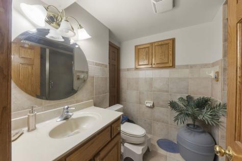 9040 Frances Lane Orland Park IL 60462