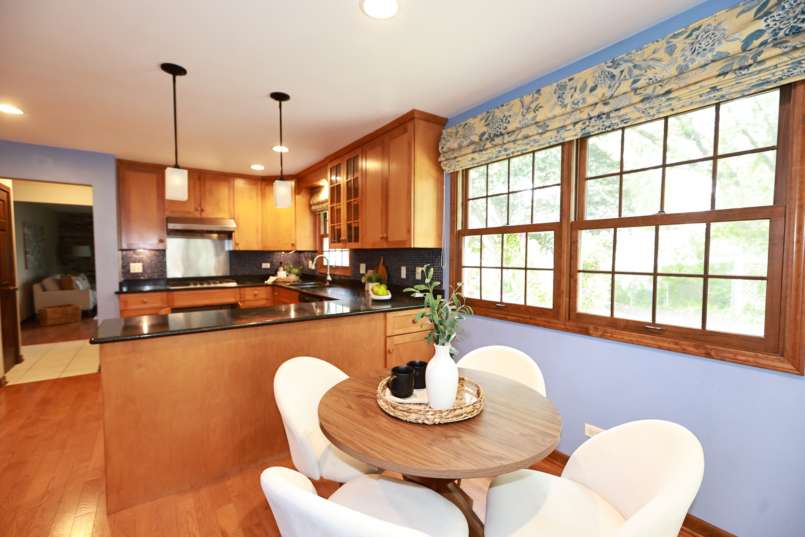 2418 Flambeau Drive Naperville IL 60564