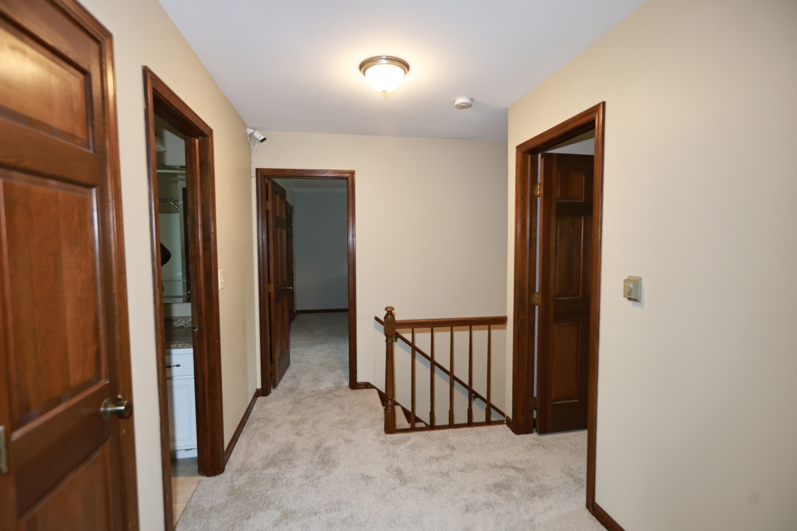 2418 Flambeau Drive Naperville IL 60564
