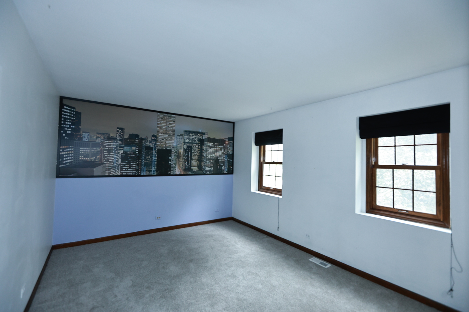 2418 Flambeau Drive Naperville IL 60564