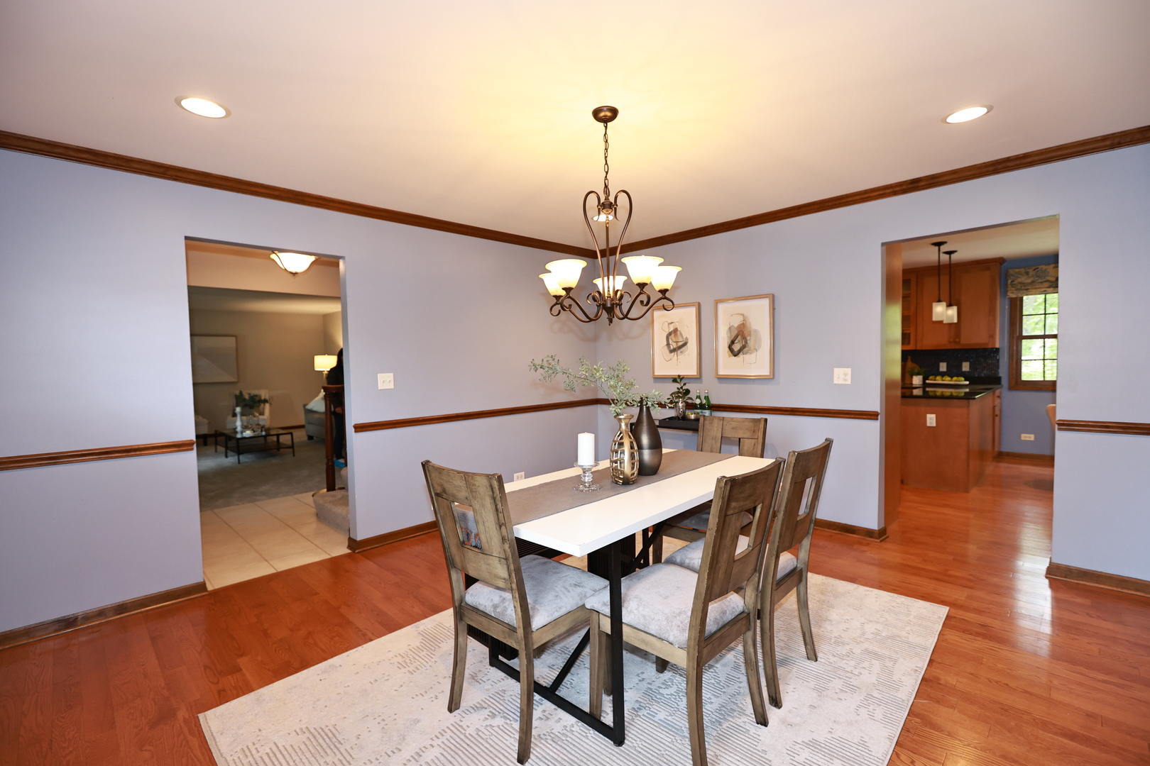 2418 Flambeau Drive Naperville IL 60564
