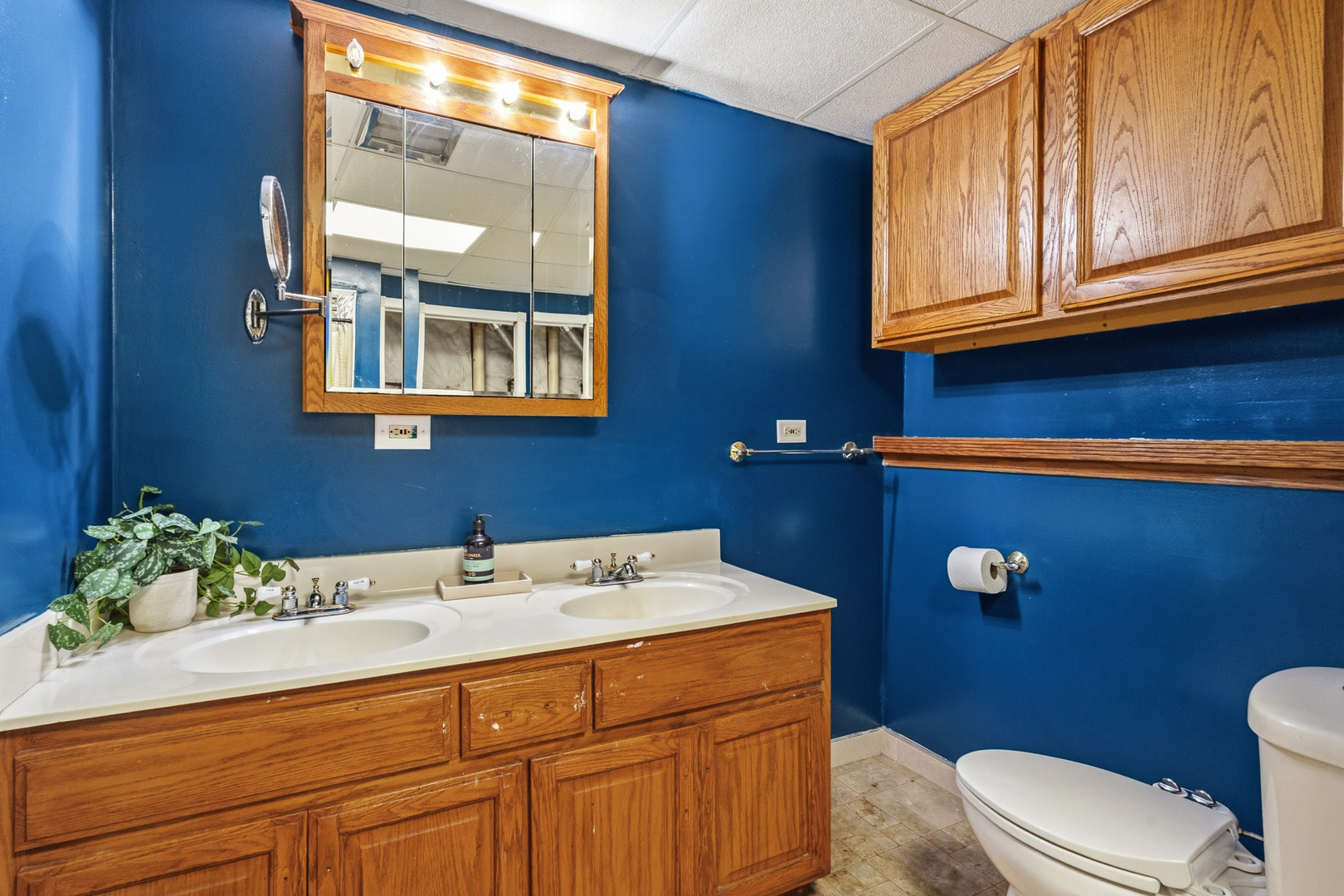 20753 Mary Drive Lockport IL 60441
