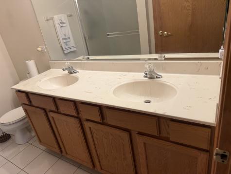 13098 Laurel Glen Court Palos Heights IL 60463
