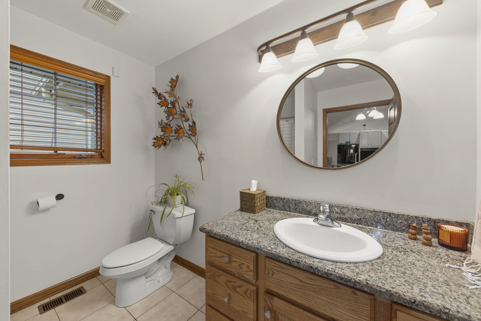 393 East 16th Place Lombard IL 60148