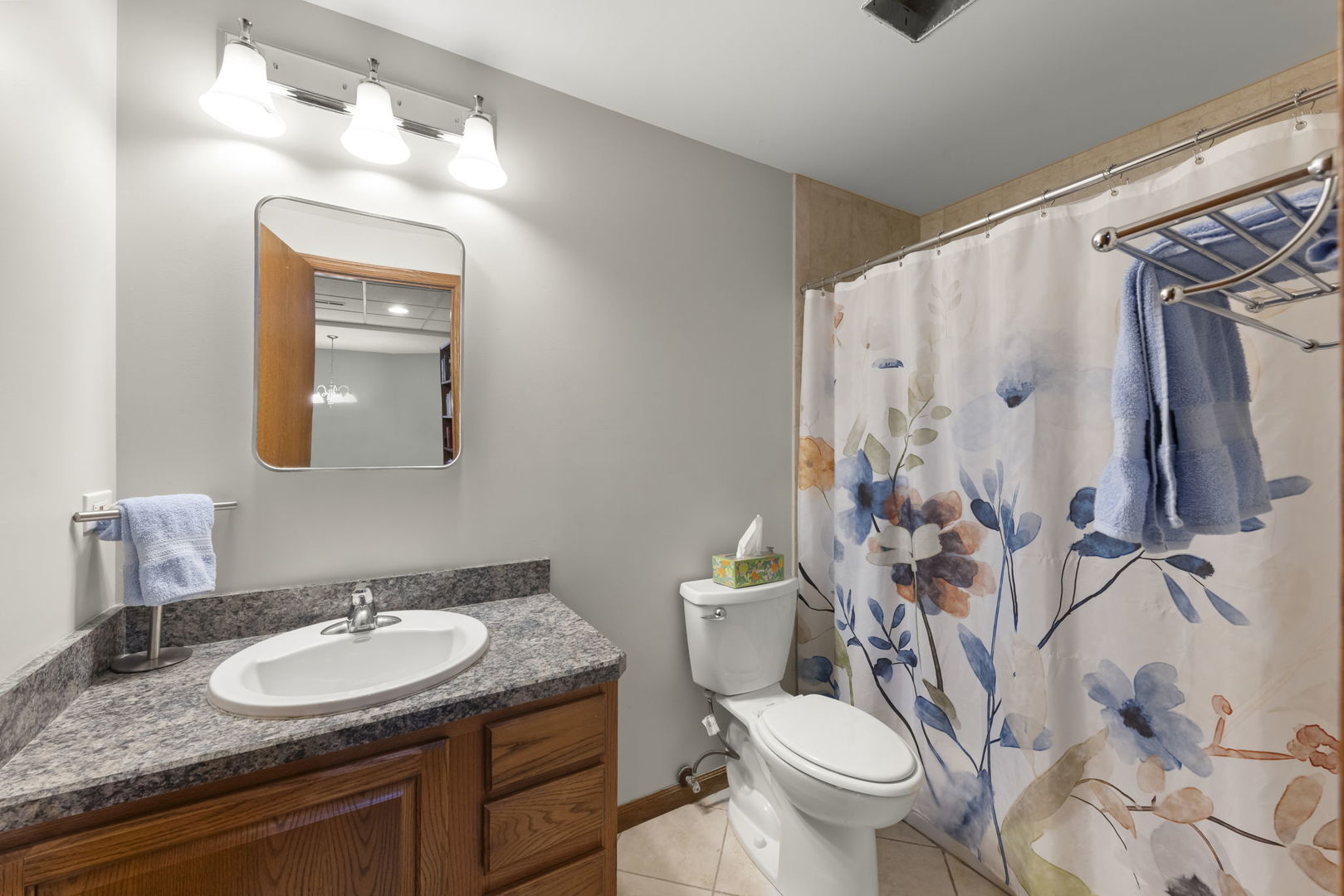 393 East 16th Place Lombard IL 60148