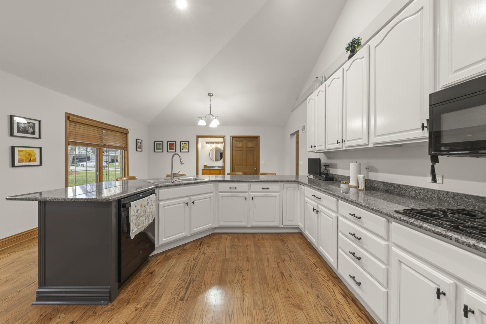 393 East 16th Place Lombard IL 60148