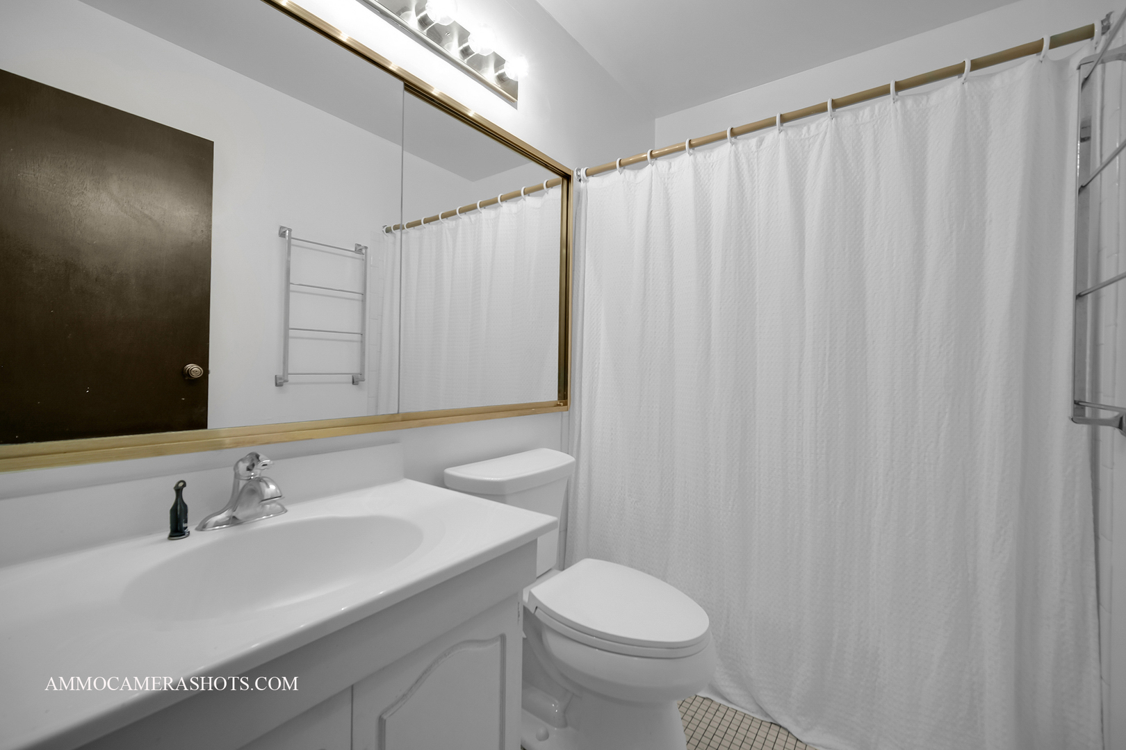 141 North Lancaster Drive Bolingbrook IL 60440