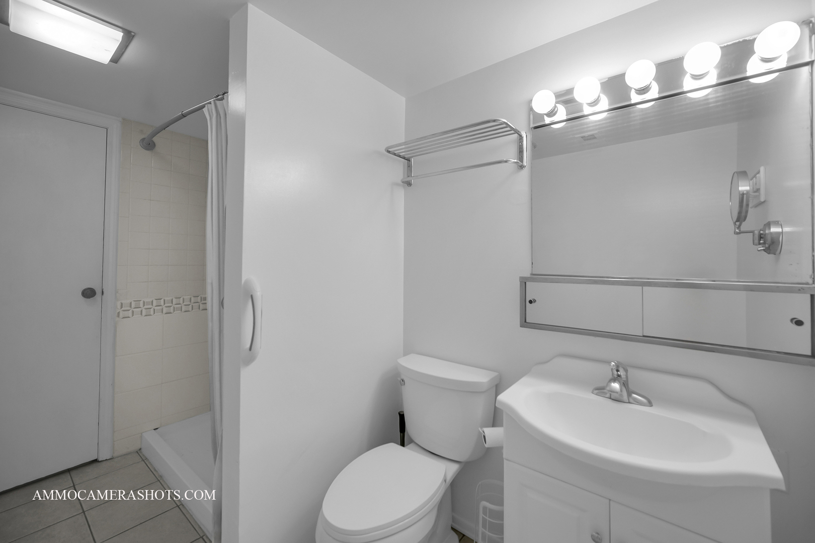 141 North Lancaster Drive Bolingbrook IL 60440