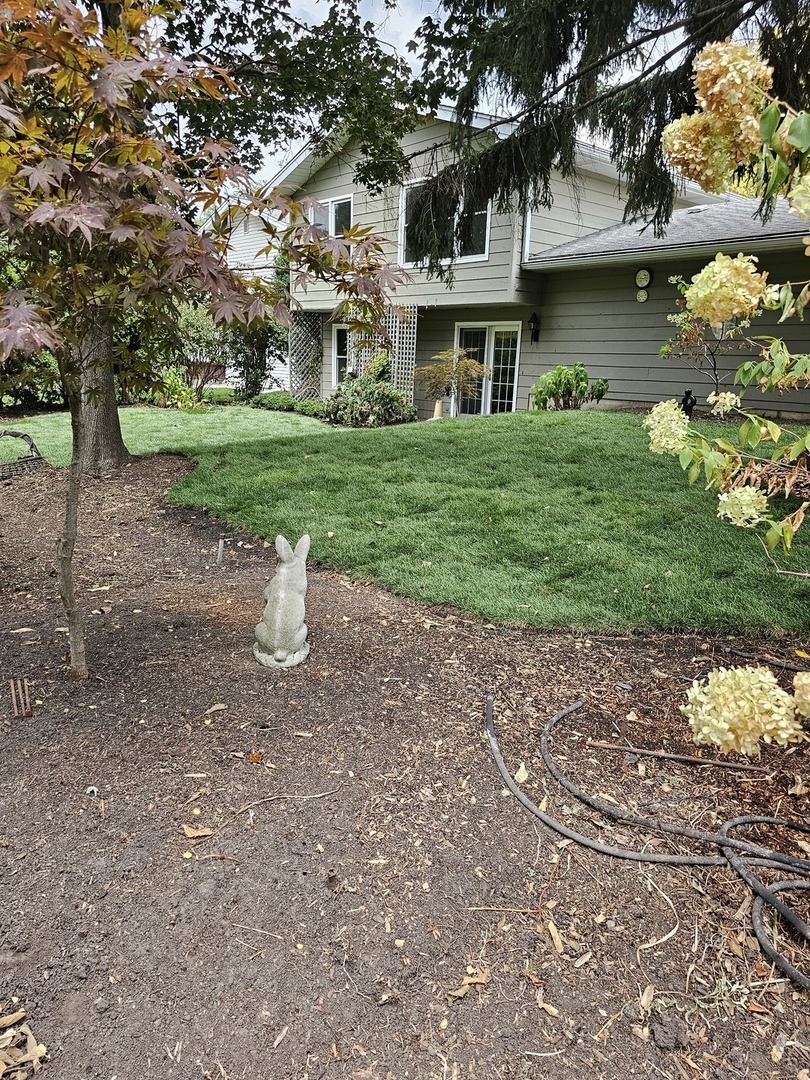 141 North Lancaster Drive Bolingbrook IL 60440