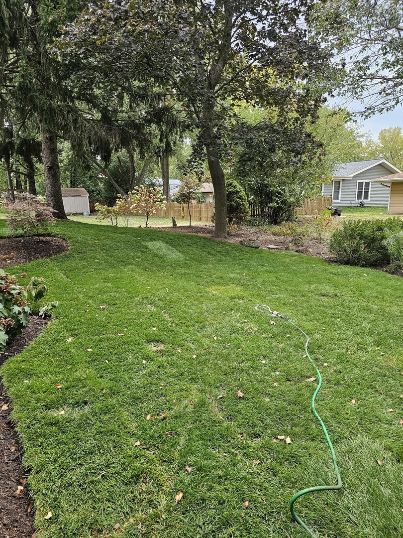 141 North Lancaster Drive Bolingbrook IL 60440