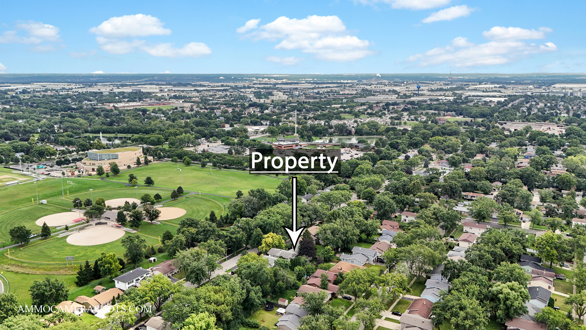 141 North Lancaster Drive Bolingbrook IL 60440