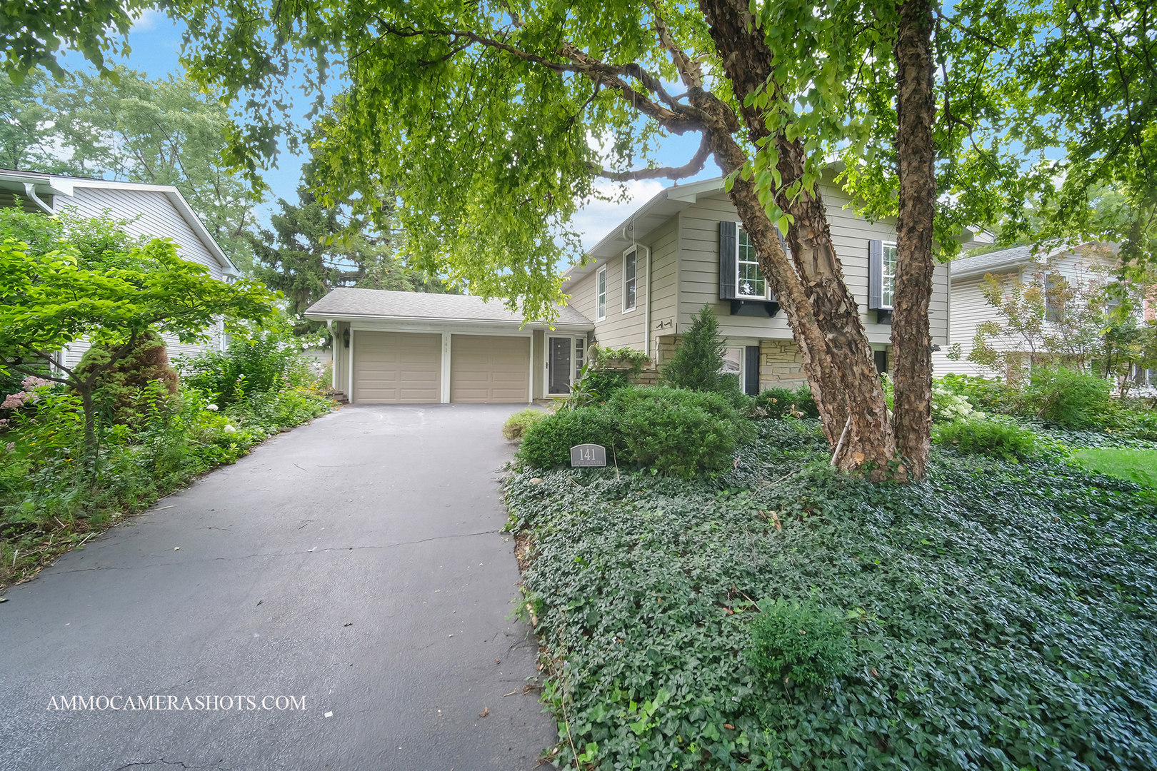 141 North Lancaster Drive Bolingbrook IL 60440