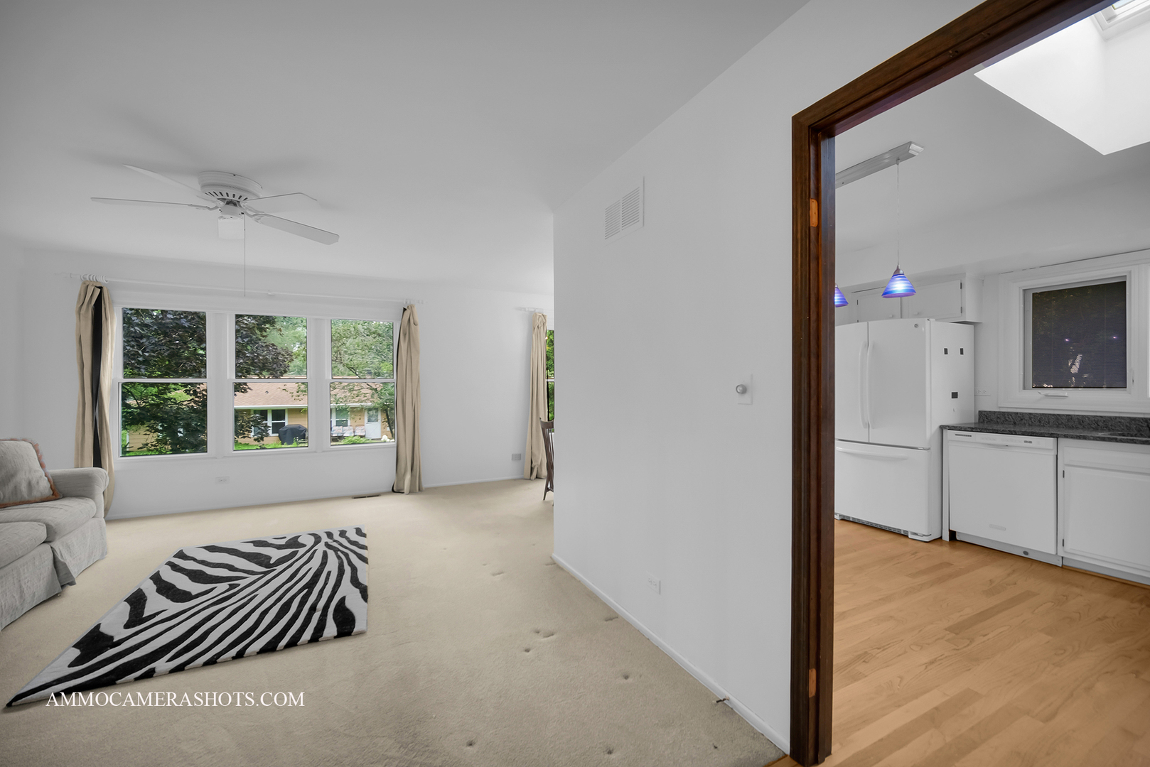 141 North Lancaster Drive Bolingbrook IL 60440