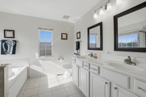 10850 Great Plaines Court Huntley IL 60142