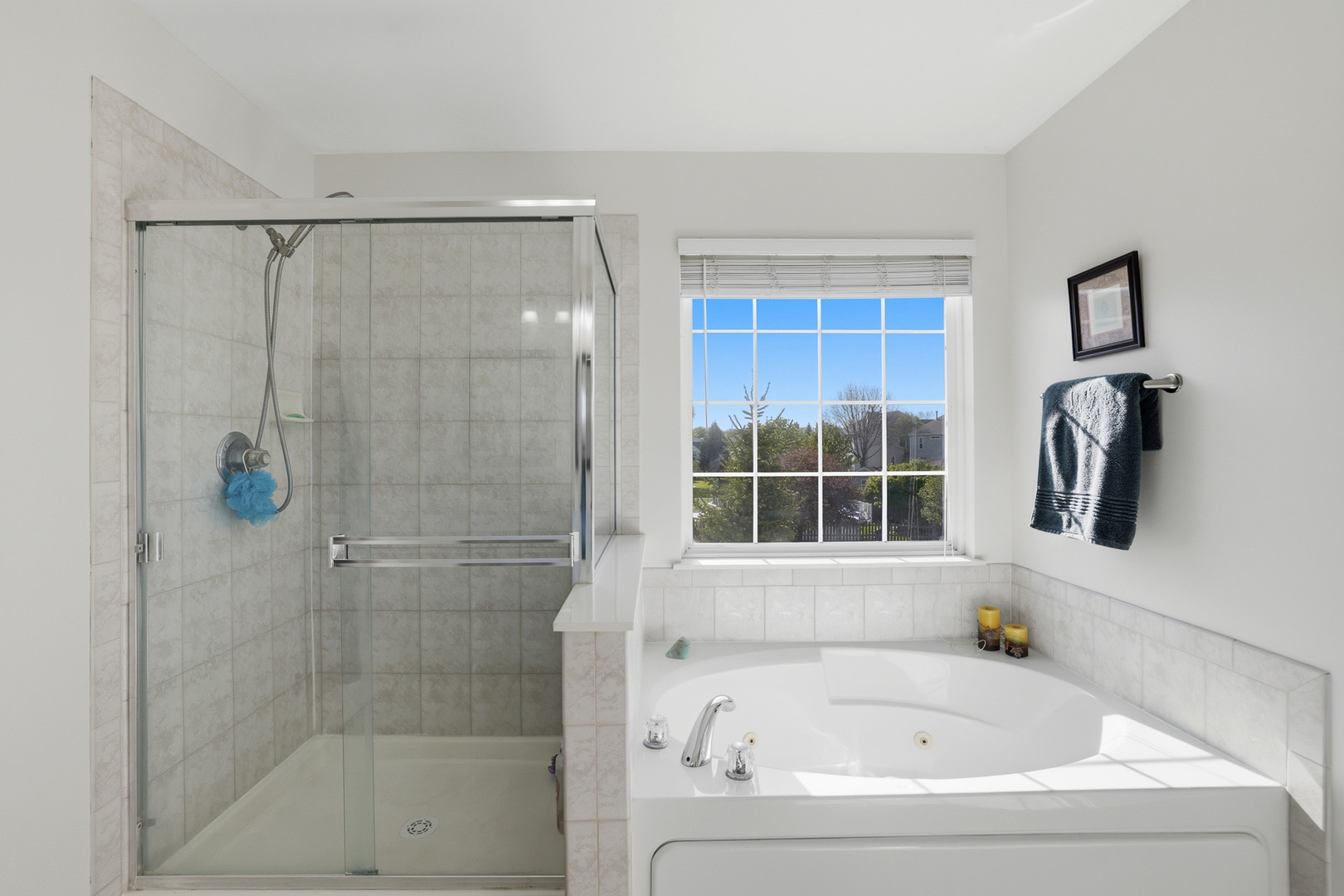 10850 Great Plaines Court Huntley IL 60142