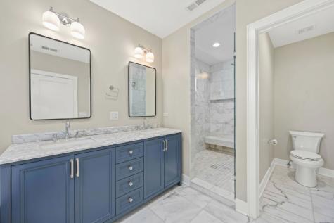 527 Woodbine Avenue Oak Park IL 60302