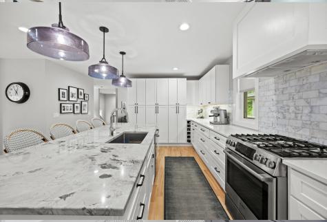 527 Woodbine Avenue Oak Park IL 60302