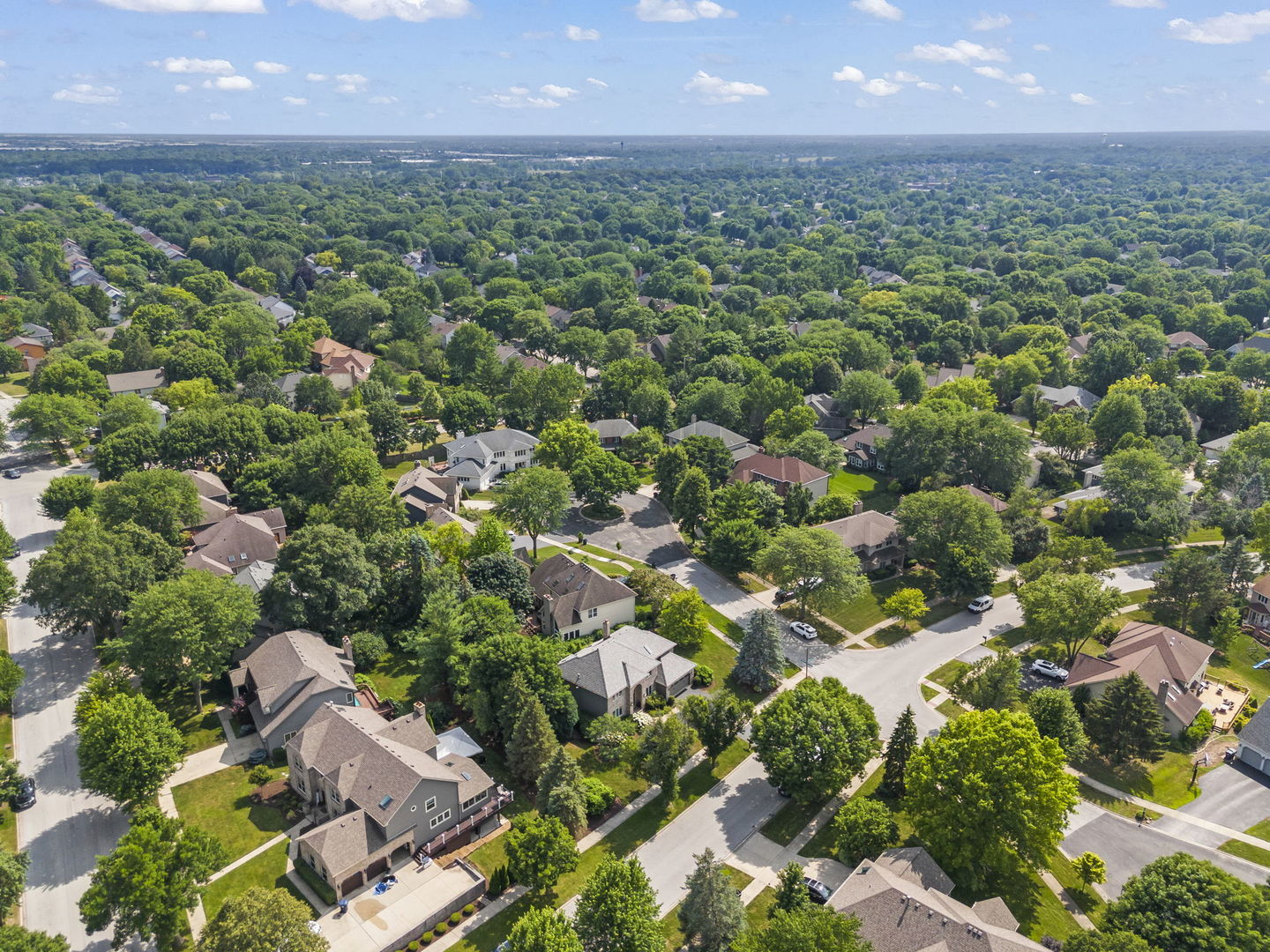 816 Spindletree Avenue Naperville IL 60565