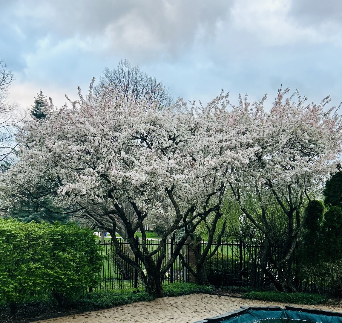 2266 Pebble Creek Drive Lisle IL 60532