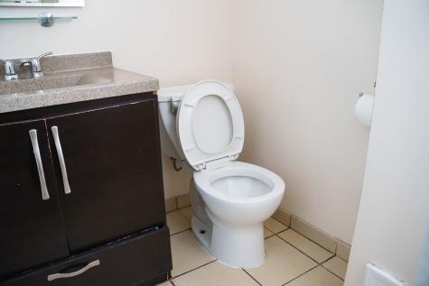 3912 West 55th Place Chicago IL 60629