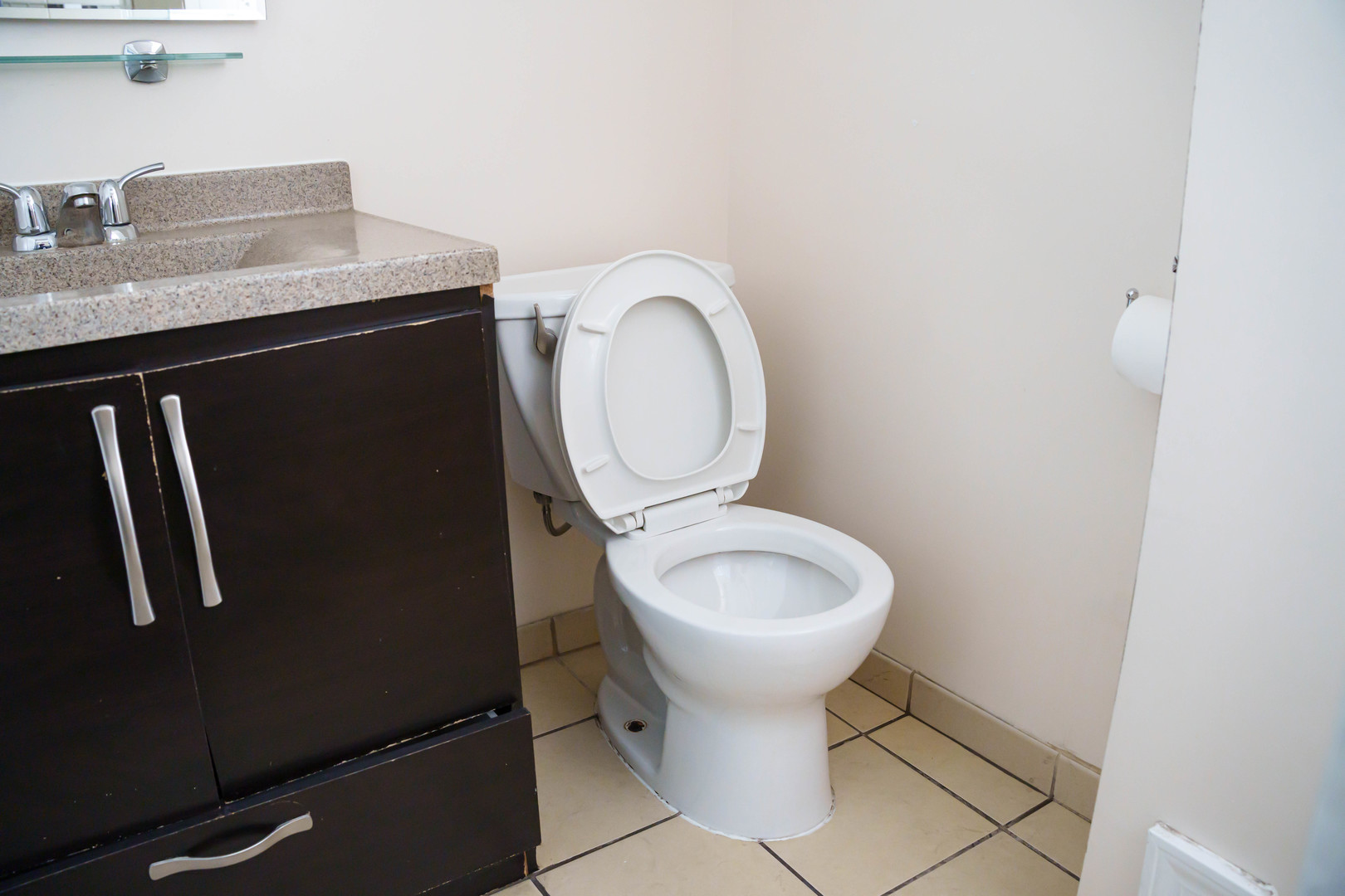 3912 West 55th Place Chicago IL 60629