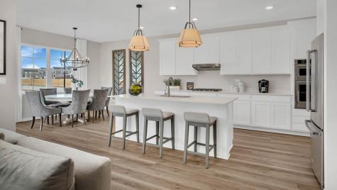 1232 Wildflower Lane Bartlett IL 60103