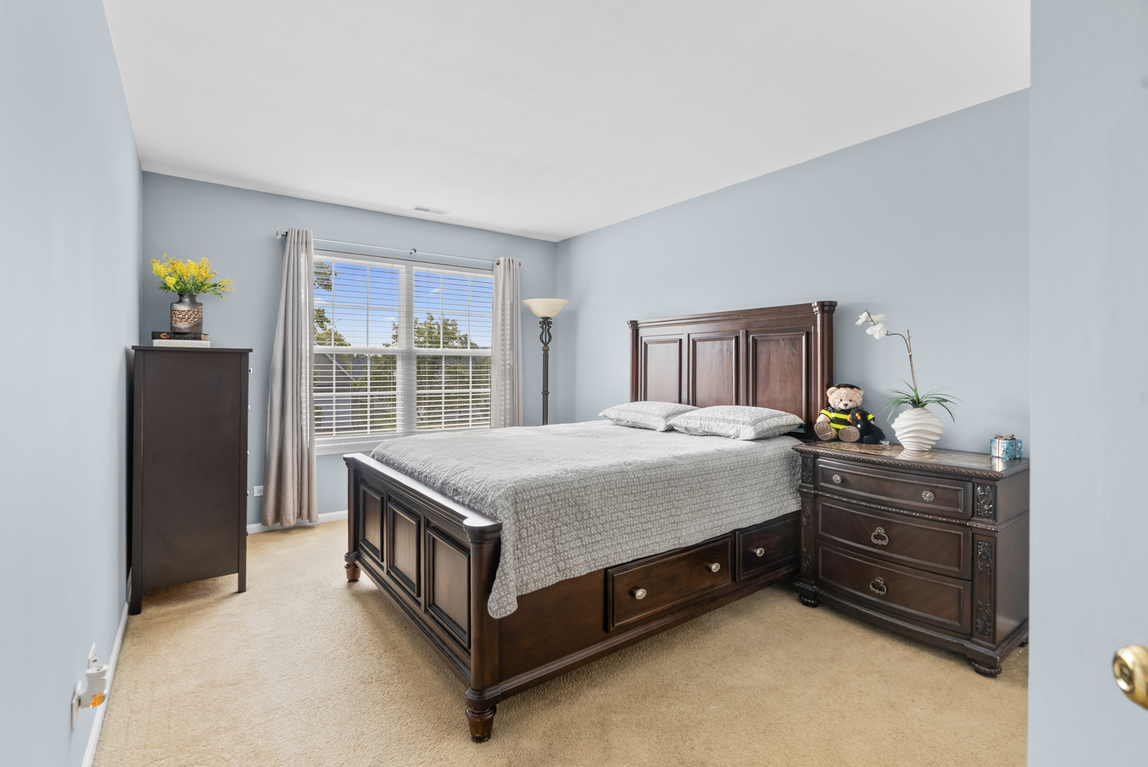 1896 Sedgegrass Trail Aurora IL 60504