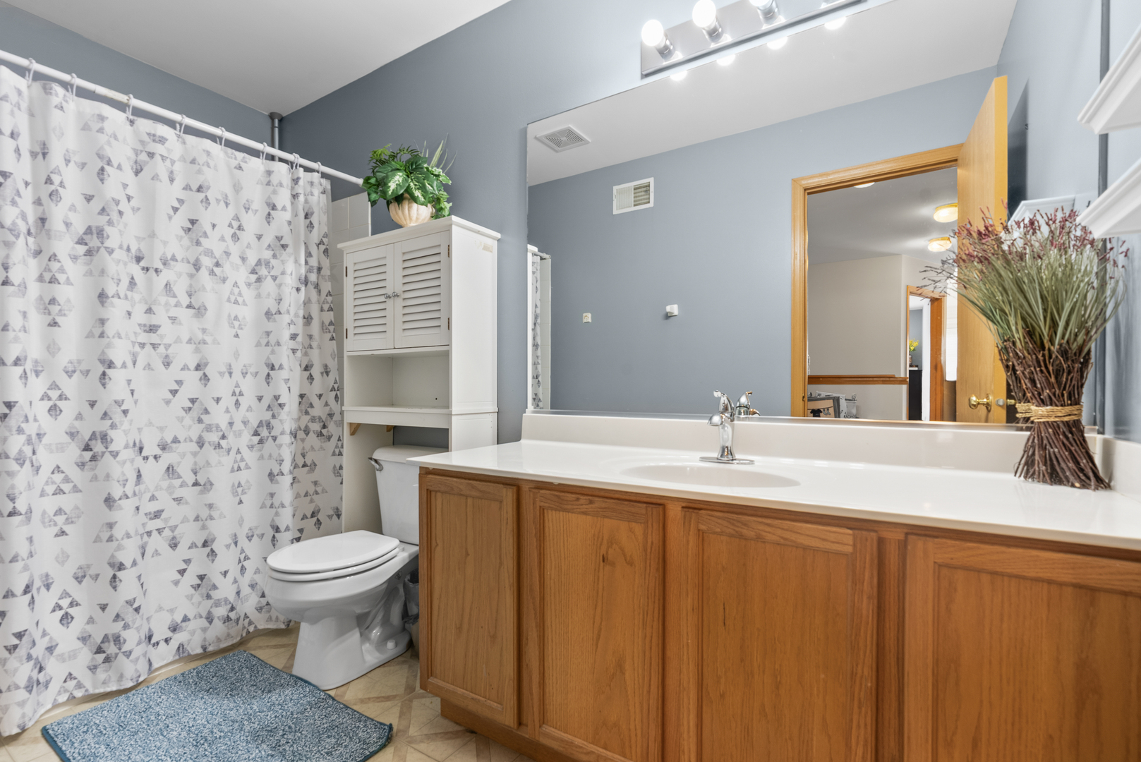 1896 Sedgegrass Trail Aurora IL 60504