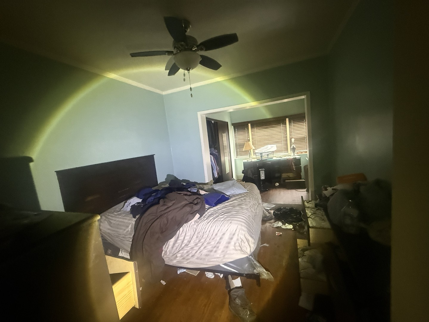 7337 South Indiana Avenue Chicago IL 60619