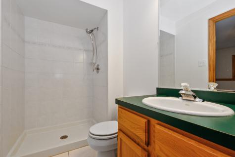 16237 Lake Villa Avenue Tinley Park IL 60477