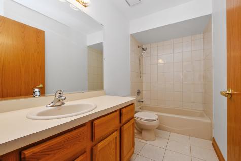 16237 Lake Villa Avenue Tinley Park IL 60477