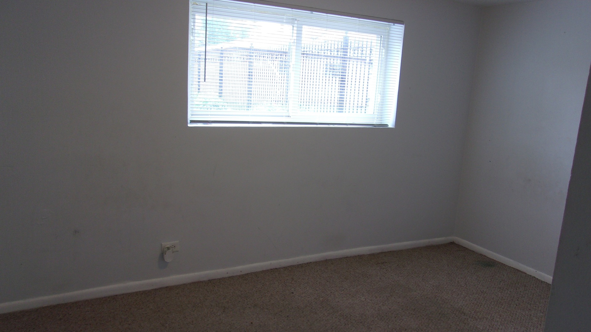 8343 South Calumet Avenue Chicago IL 60619